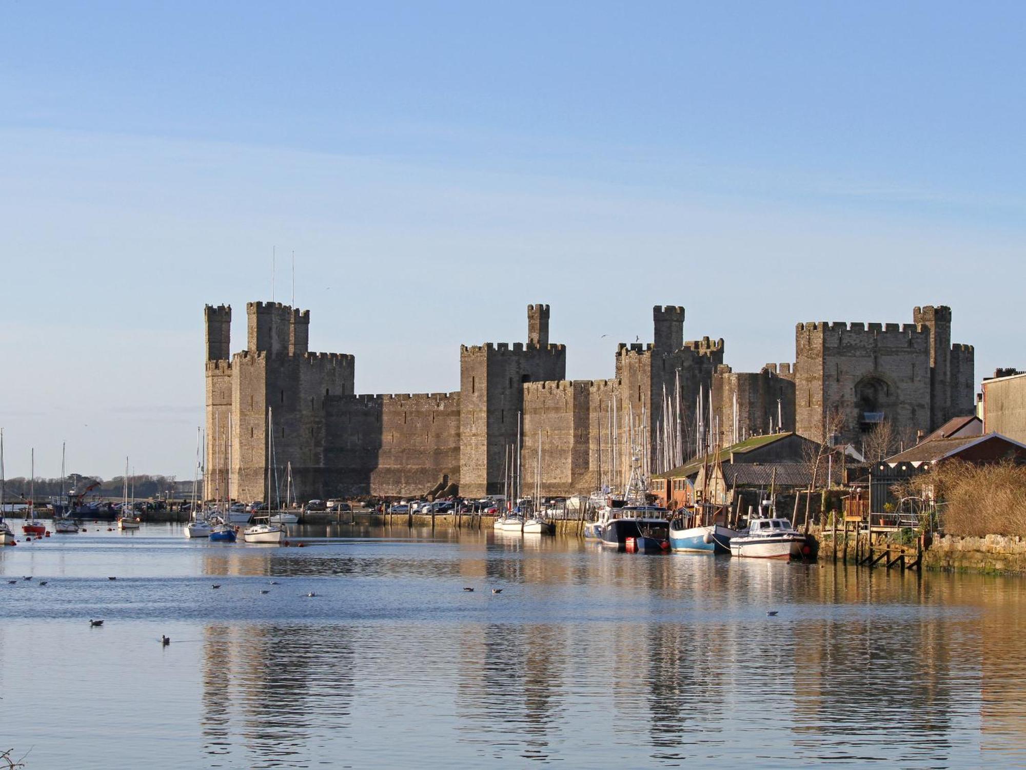 Bay Tree Cottage Caernarfon Dış mekan fotoğraf